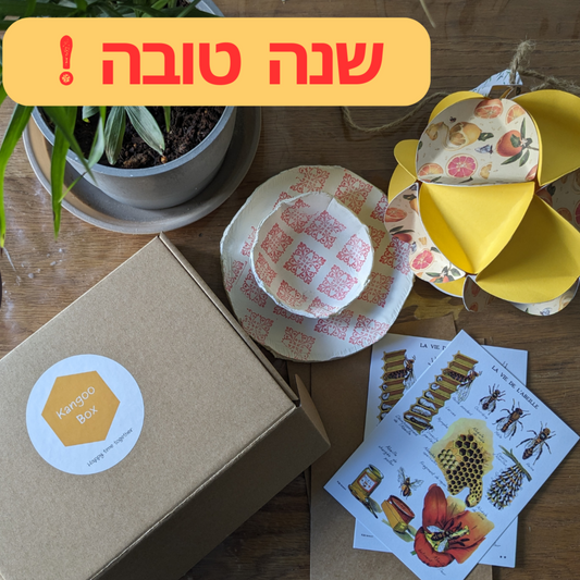 The Gratitude Box (age 3 +) Special Rosh Hashana